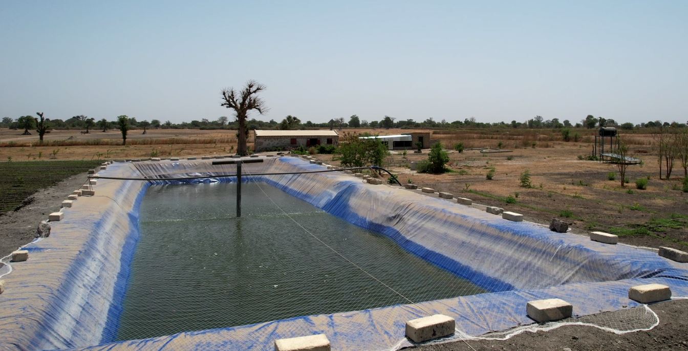 Imaginer Un Mod le D aquaculture Durable Fondation Veolia